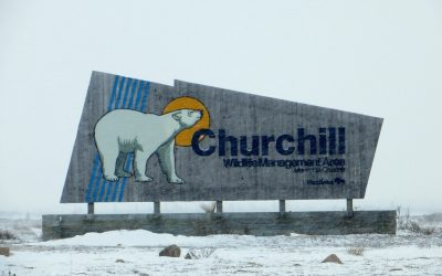 Finding Financial Freedom in Churchill, MB