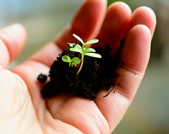 services-bankruptcy-2 Bankruptcy Services